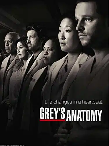 Grey'S Anatomy Poster Movie (X Inches   Cm X Cm) () (Style D)