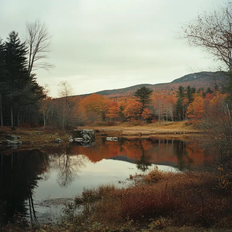 new hampshire